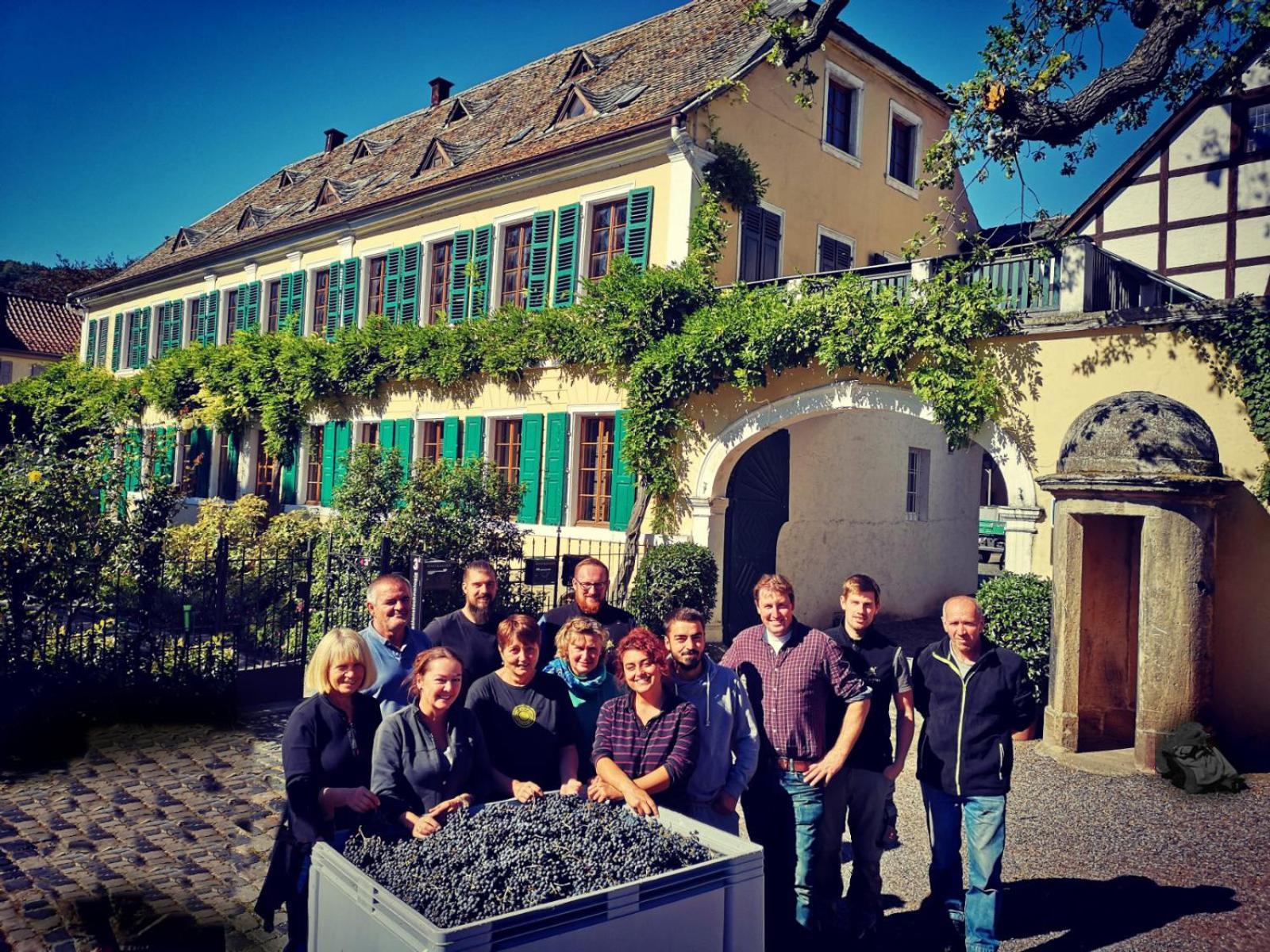 Unterkunft Im Weingut Fitz-Ritter Bad Dürkheim Esterno foto