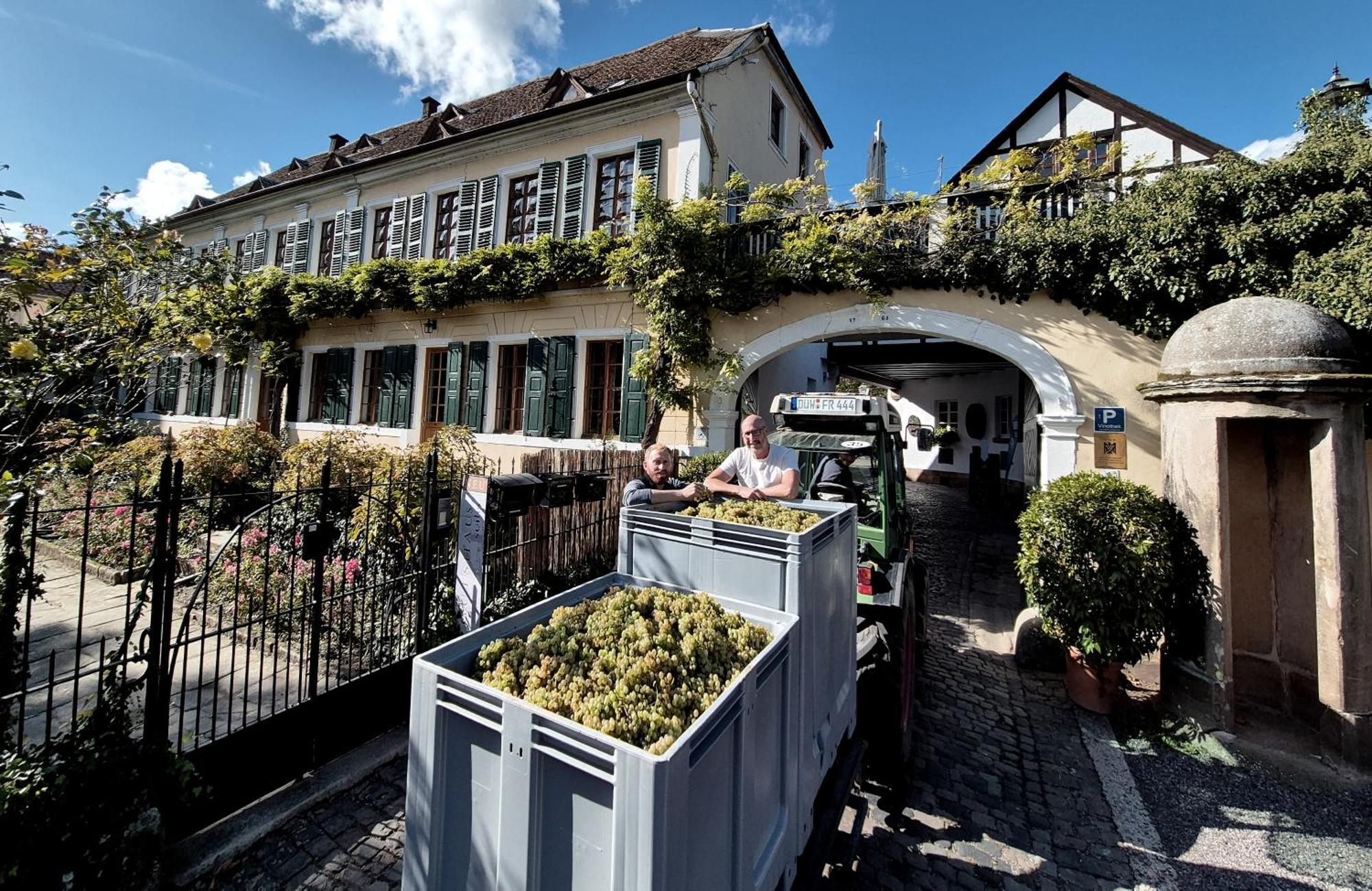 Unterkunft Im Weingut Fitz-Ritter Bad Dürkheim Esterno foto
